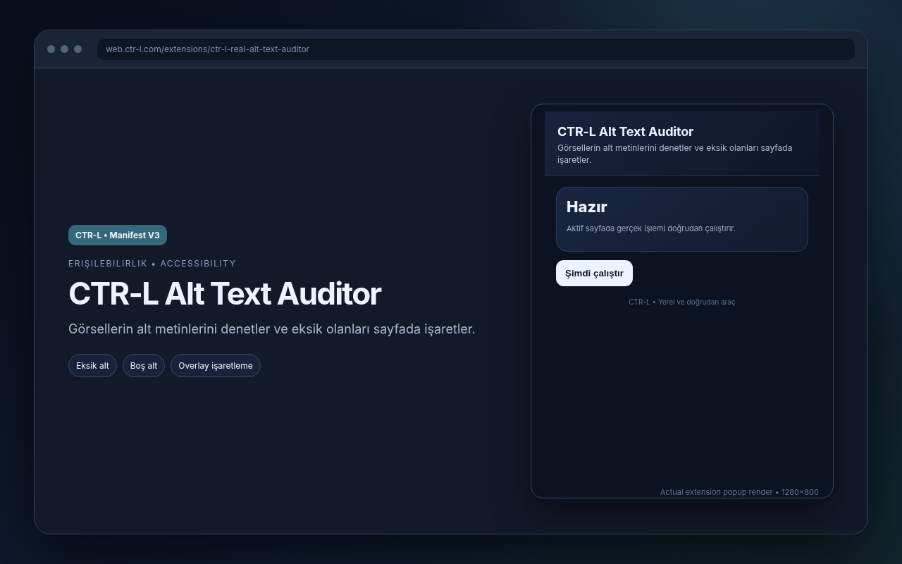 CTR-L Alt Text Auditor media preview.