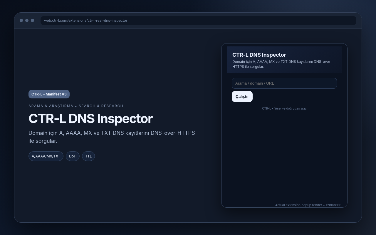 CTR-L DNS Inspector media preview.
